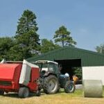 The Potential of Steel Frame Agricultural Buildings: The Sturdy Solution for Modern Farming Growth